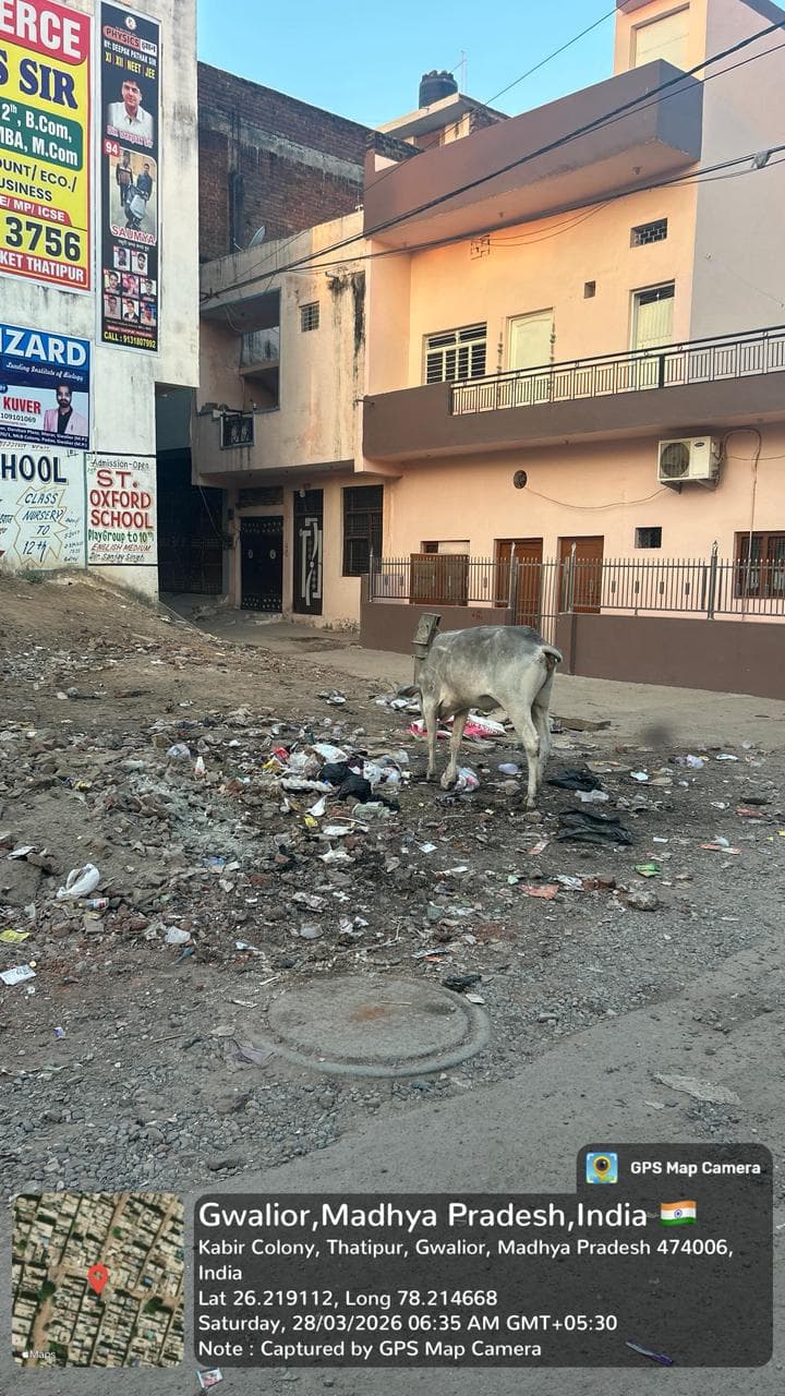 Gallery image 21